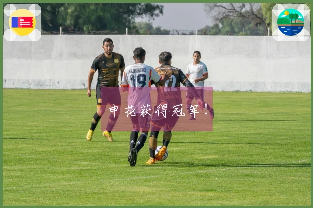 申花获得冠军！
